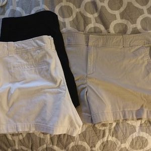 New York & Co Shorts